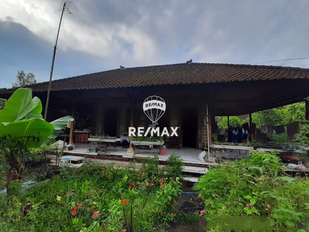 DIJUAL CEPAT TANAH DENGAN BANGUNAN COCOK UNTUK VILLA DI PENEBEL BALI